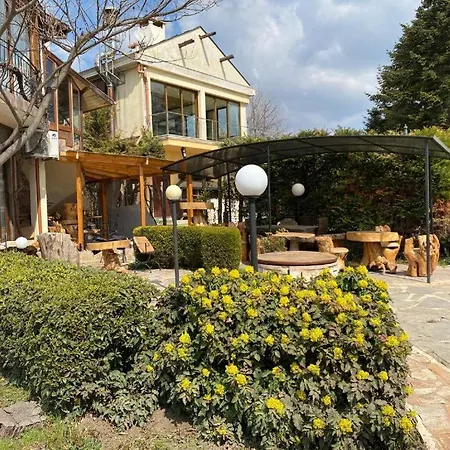 Maxim Guest house *